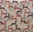 antilopes