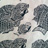 poissons_noirs